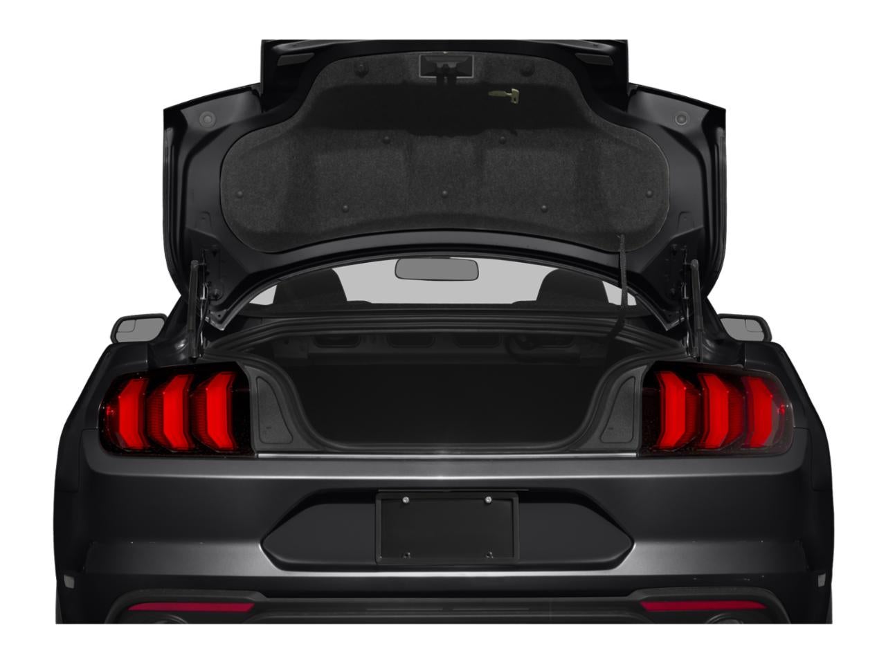 2018 Ford Mustang GT Fastback