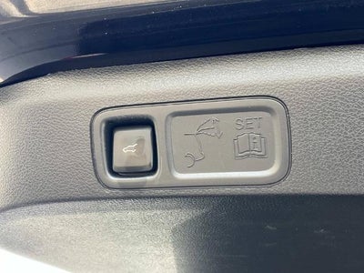 2024 Ford Expedition Max XLT 4x2