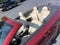 2011 Volvo C70 2dr Conv Auto