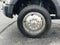2019 Ford Super Duty F-450 DRW XL 4WD Crew Cab 179" WB 60" CA