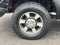 2011 Ford Super Duty F-250 SRW 4WD Crew Cab 6-3/4 Ft Box Lariat