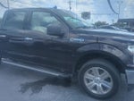 2020 Ford F-150 XLT 4WD SuperCrew 5.5' Box