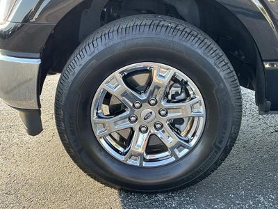 2023 Ford F-150 XLT 4WD SuperCrew 5.5' Box